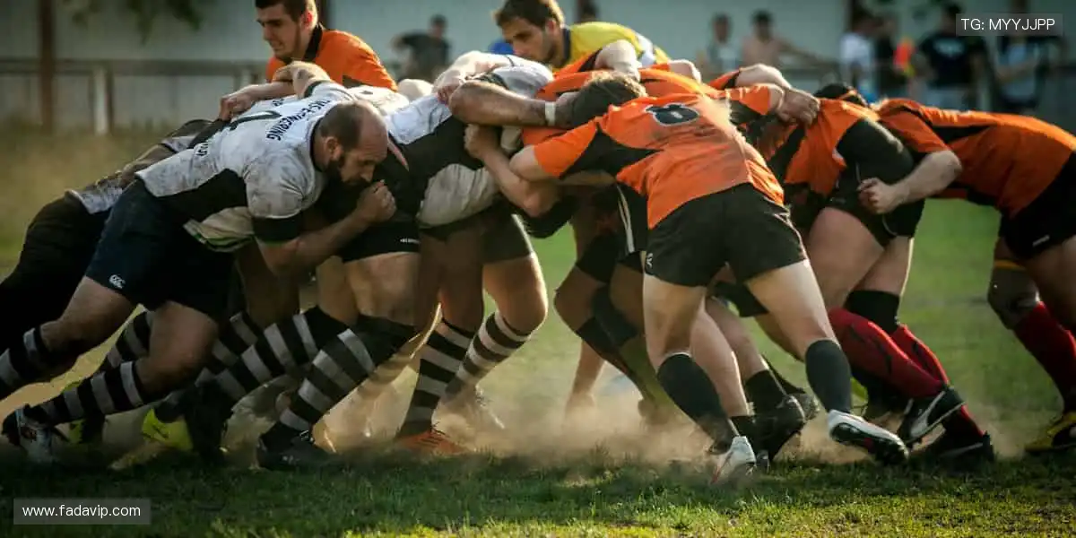 📺 高清直播，燃爆全场！🔥